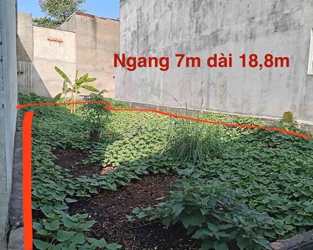 CHỦ GIẢM 400tr còn 4Tỷ /138m2 Gần Đường Lò Lu Q9 - Ảnh 3