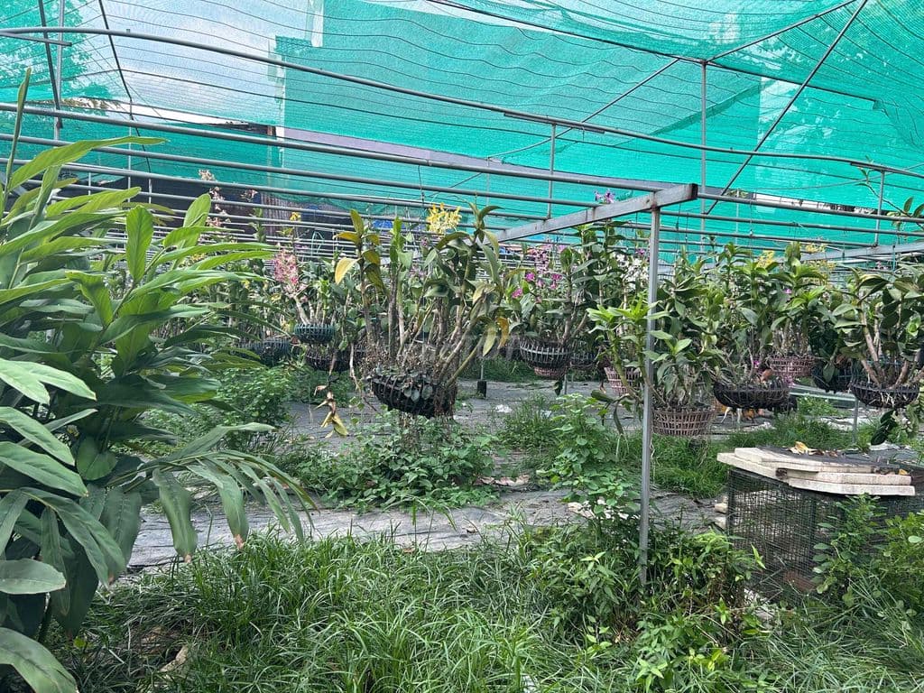 Đất Xây Kho Xưởng