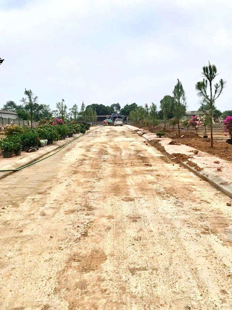 chỉ 1.8 tỷ sở hữu 100m2 đất khu kim cương Tùng Thiện Sơn Tây - Ảnh 3