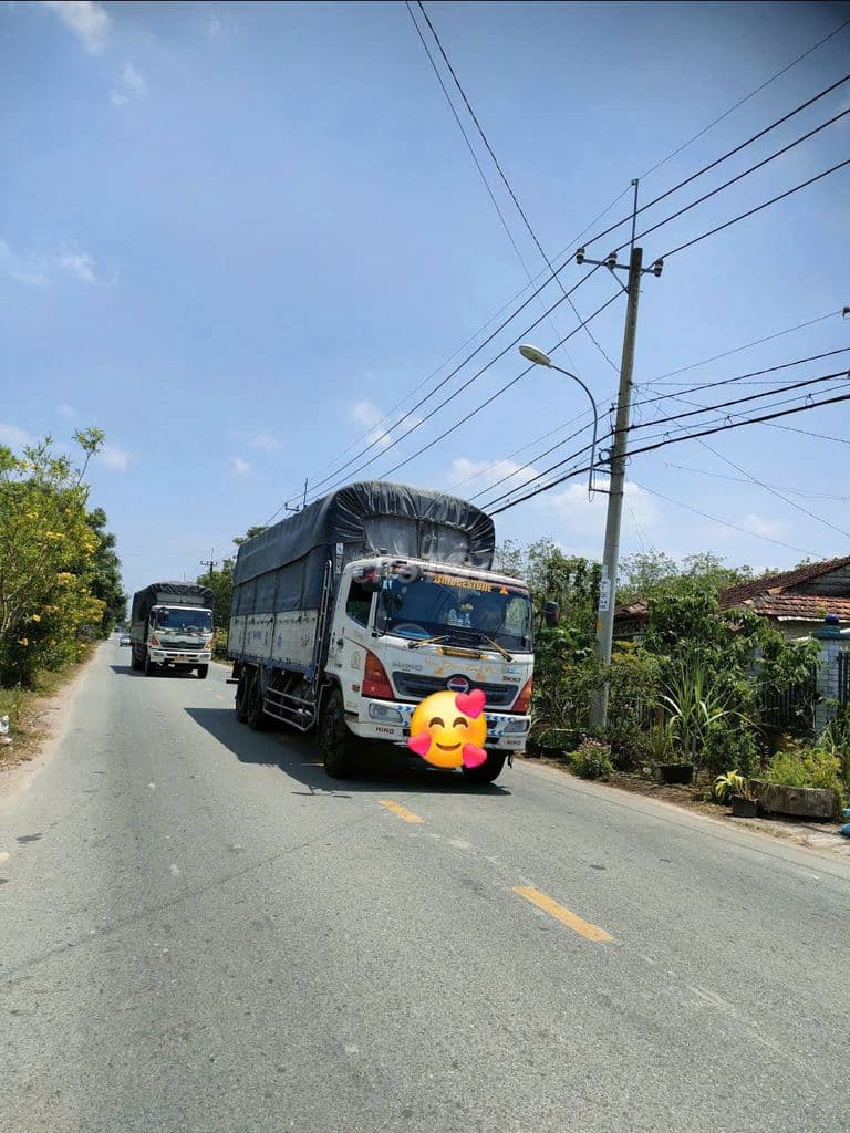 Củ Chi chủ đang ngộp cần tiền xoay việc bán gấp lô đất - Ảnh 2