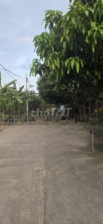 Lô đất 560m2 MT đường 12m Nguyễn Văn Tạo, Long Thới, Nhà Bè - Ảnh 2