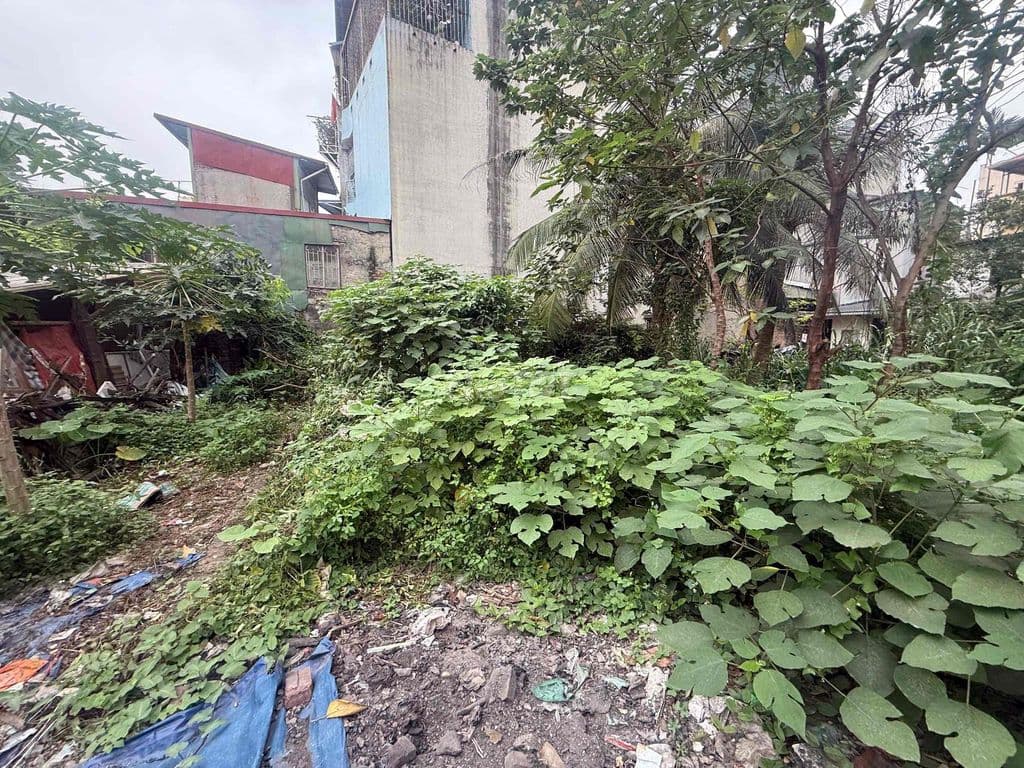 bán đất chính chủ - Ảnh 2