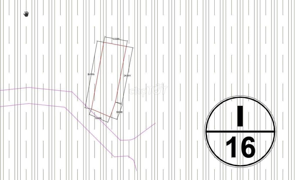 Đất 8x27m, sổ hồng riêng, Nguyễn Văn Bứa vào gần Ngã tư Hóc Môn, XTS - Ảnh 3