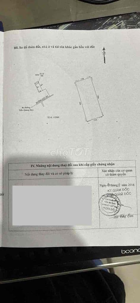 Bán nhà yến đang thu hoạch ở bình khánh, 308m2 giá tốt - Ảnh 3