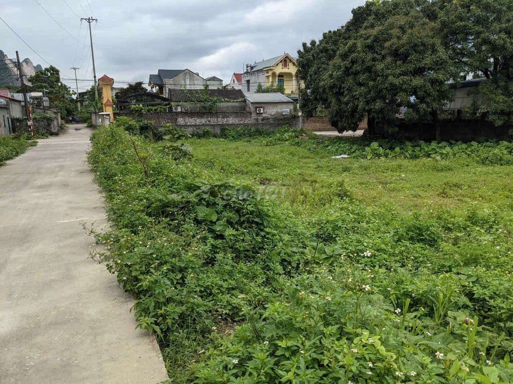 đất vàng mặt đường làm biệt thự đẹp - Ảnh 3