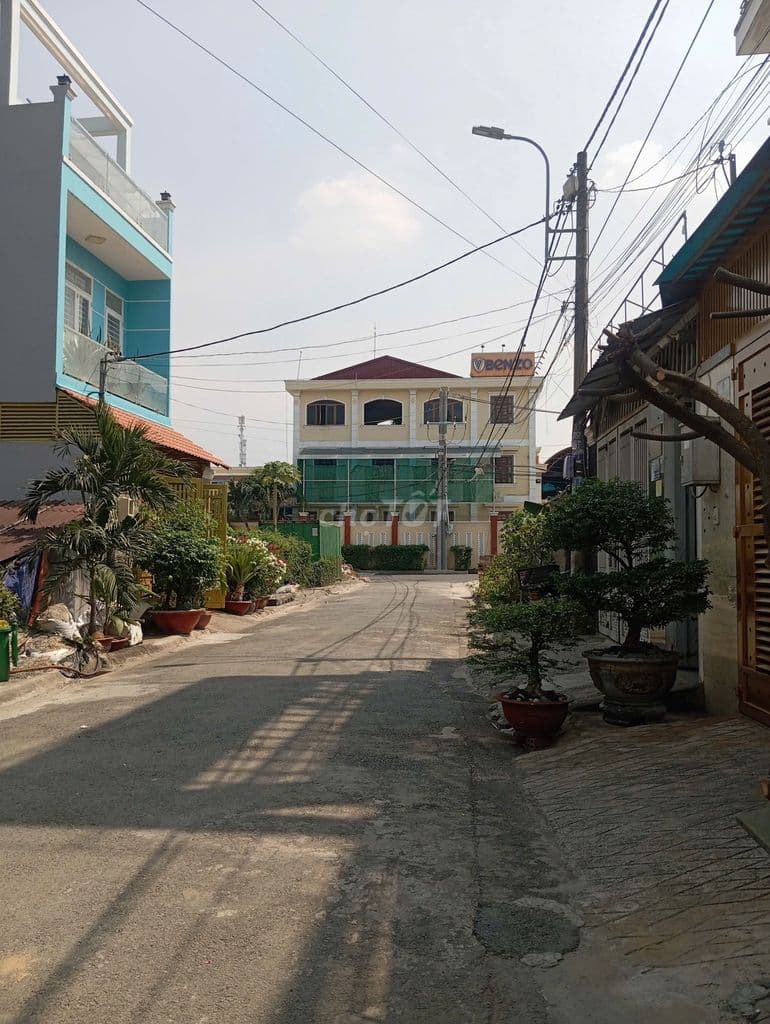 lô đất đường thới tam thôn 6 ngợp .gồng lãi không nổi muốn bán nhanh - Ảnh 2