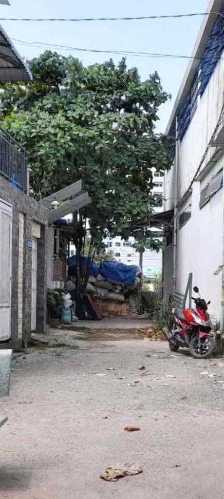 Đất Bán 5m x 15m khu C12, Xã Tân Kiên, Bình Chánh - Ảnh 2