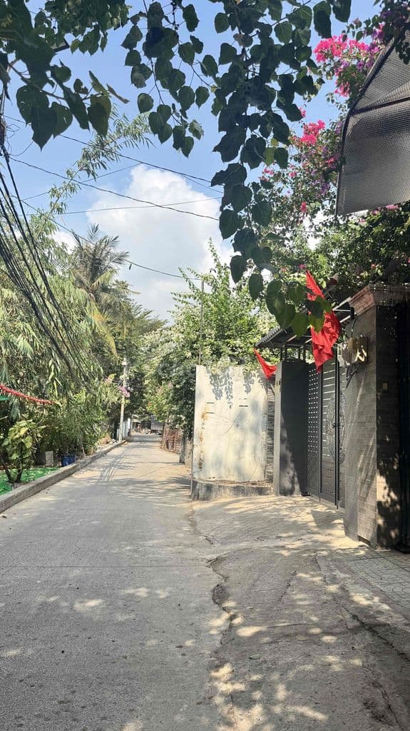 5.99🧄 CÓ NGAY LÔ ĐẤT 105M² – NGANG 5M – HXH GẦN QL13 - Ảnh 2