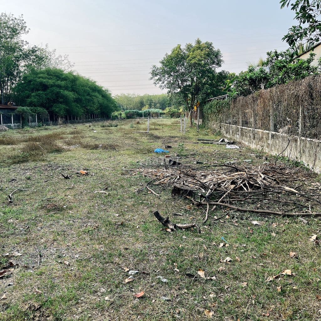 Bán gấp lô đất (gần Nguyễn Thị Nê), dt 2550m2, 500m2 đất ở, 12.5 tỷ TL - Ảnh 3