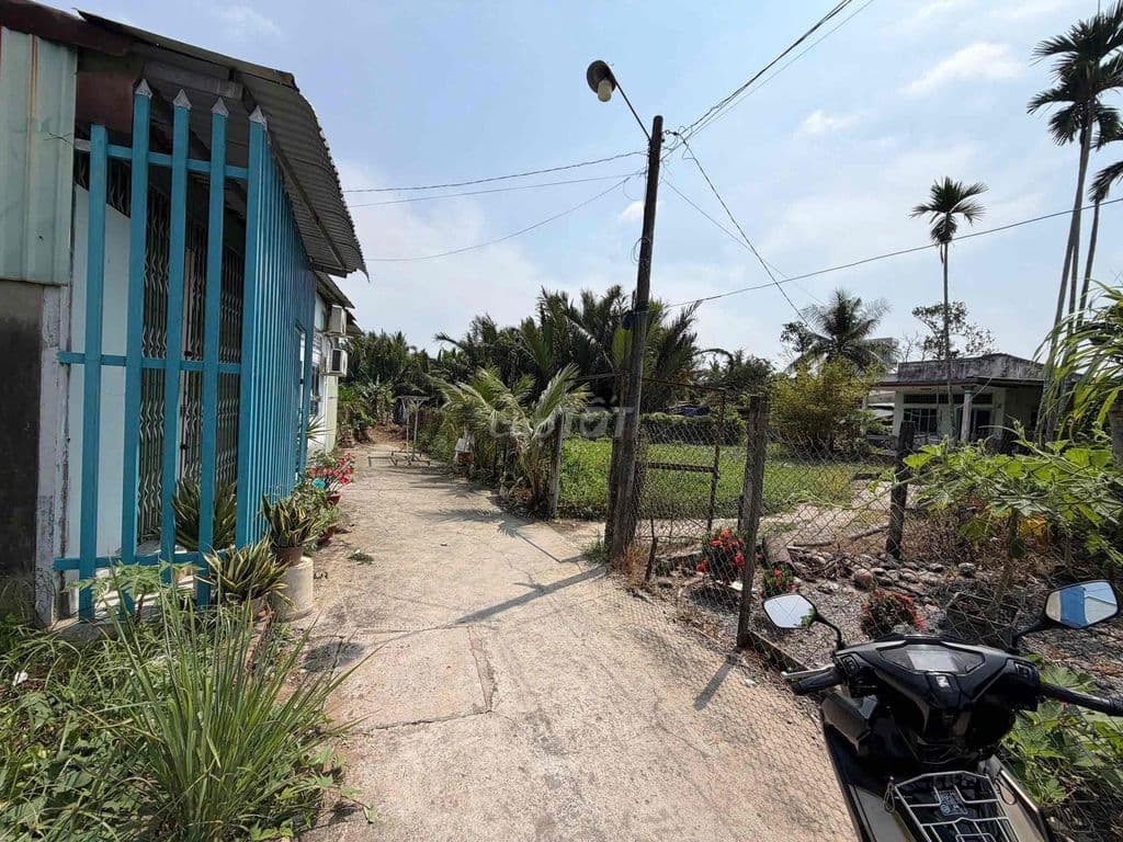 bán nhà vườn 904m xã tân nhựt Bình Chánh - Ảnh 3