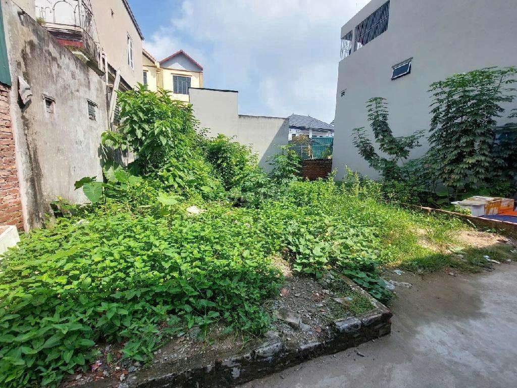 Bán đất An Khánh Hoài Đức – 42m² – gần Đại lộ Thăng Long Nhỉnh 3 tỷ - Ảnh 3