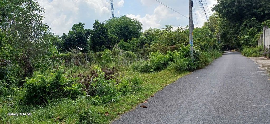 Bán đất thổ cư tại Củ Chi - Ảnh 3