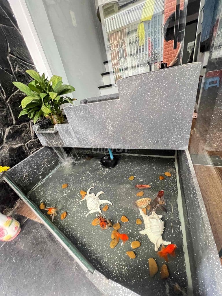 Bán Nhà cho người thích hợp. - Ảnh 3
