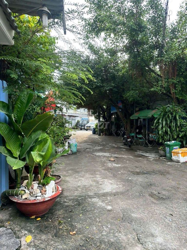 Cần bán gấp nhà P TTN cũ Q12 DT 5 x 15 1 trệt 3 lầu 4PN4WS hẻm xe hơi - Ảnh 3