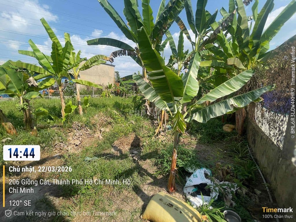 Cần bán 700m2đất 5tr/m2 xã tân phú trung gần bv xuyên á