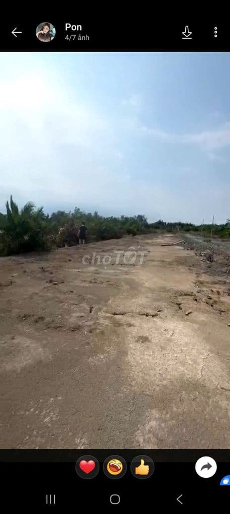 CẦN BÁN LÔ ĐẤT TRỒNG CÂY LÂU NĂM, 2 MẶT TIỀN ĐƯỜNG XE TẢI - Ảnh 3