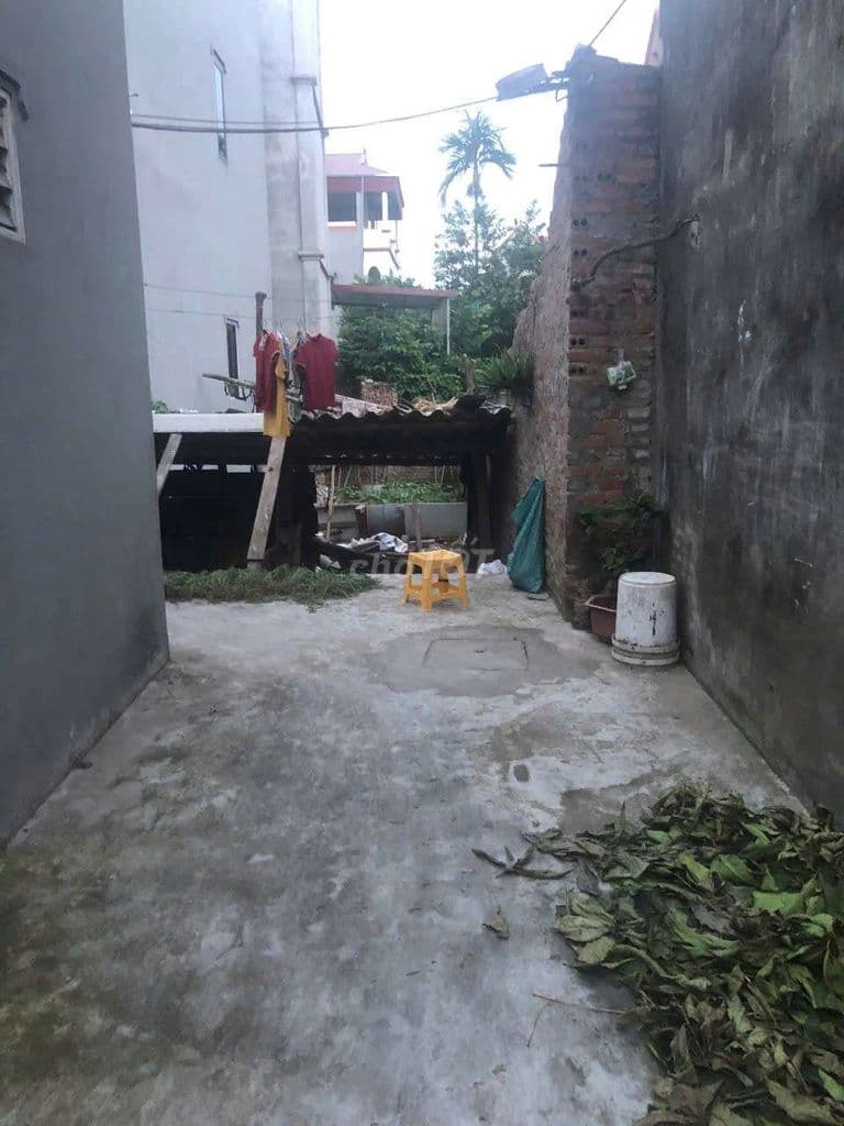 Bán đất lệ chi - Ảnh 2