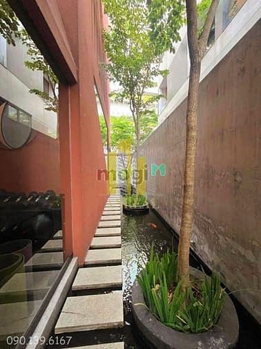 Cho Thuê Villa Thảo Điền Làm Văn Phòng Trưng Bày Giá 116 Triệu - Mogi.vn TPHCM - Ảnh 3