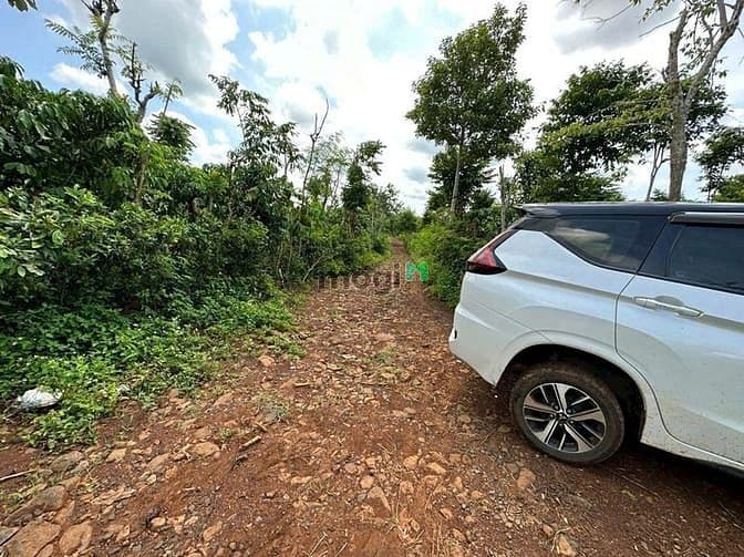 Bán Đất Tam Giang - Krông Năng-ĐẮK LẮK - Ảnh 3