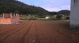 Bán đất khu đô thị Liên Nghĩa - khu kinh tế trọng điểm - dân cư hiện hữu - Ảnh 3