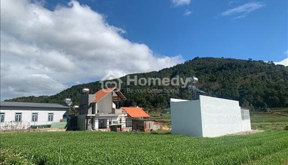 Bán đất khu đô thị Liên Nghĩa - khu kinh tế trọng điểm - dân cư hiện hữu