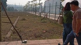 Lô góc bạch thạch – phú cát 112m² full thổ cư – cơ hội đẹp gần khu cnc hoà lạc giá chỉ nhỉnh 4 tỷ. - Ảnh 2