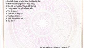 Lô Góc Phú Cát 109m2 – Full Thổ Cư – Hai Mặt Tiền – Giá Nhỉnh 4 Tỷ - Ảnh 3