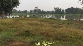 Đất Mặt Tiền Sông Vàm Cỏ, 20m mặt sông, 600m2 giá 1ty4 hàng hiếm - Ảnh 3