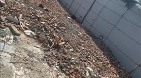 Bán nhanh lô đất full THỔ CƯ, 300m2, SHR, vay ngân hàng. - Ảnh 3