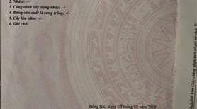 Đất nền thổ cư An Viễn - Trảng Bom - Đồng Nai - Ảnh 2