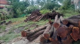 chính chủ đại hạ giá cần bán gấp lô đắt mặt tiền, nở hậu, đường nhựa, ngộp bank nên , giá rẻ - Ảnh 3