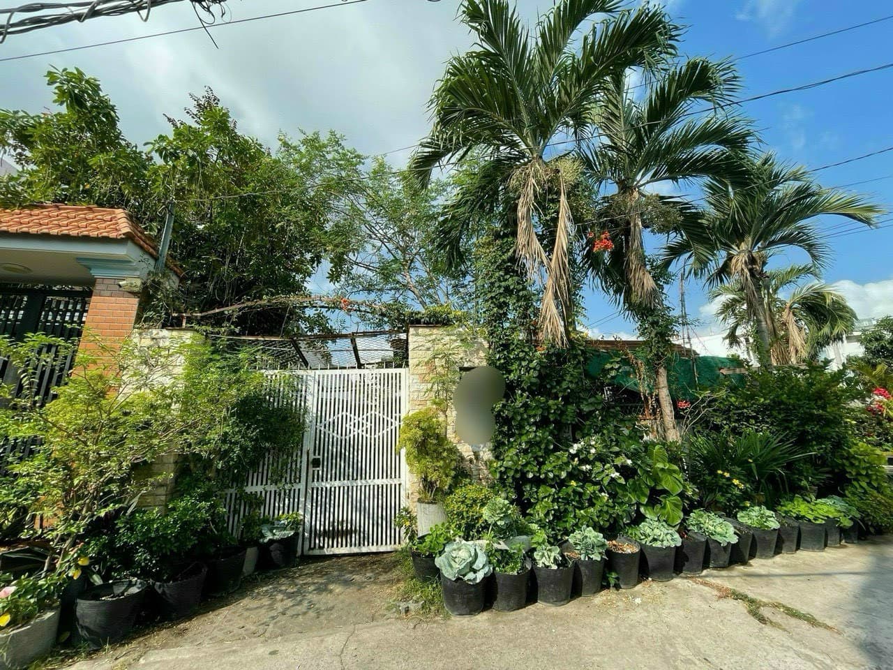 Bán nhà mặt phố P. 49, P. Bình Thuận, Q. 7, Tp. Hồ Chí Minh