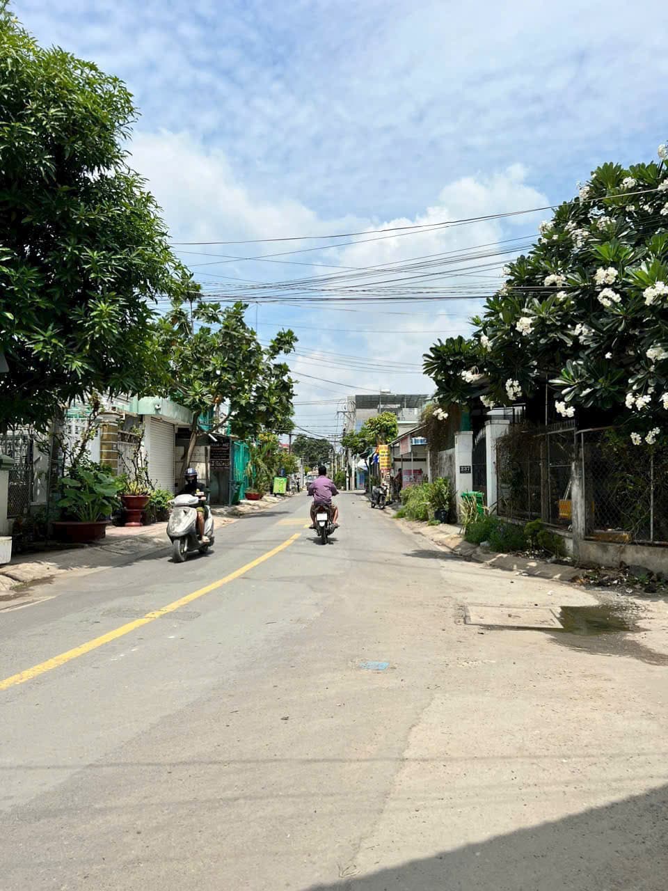 Bán đất võ văn hát, P. Long Trường, Tp. Thủ Đức, Tp. Hồ Chí Minh - Ảnh 2