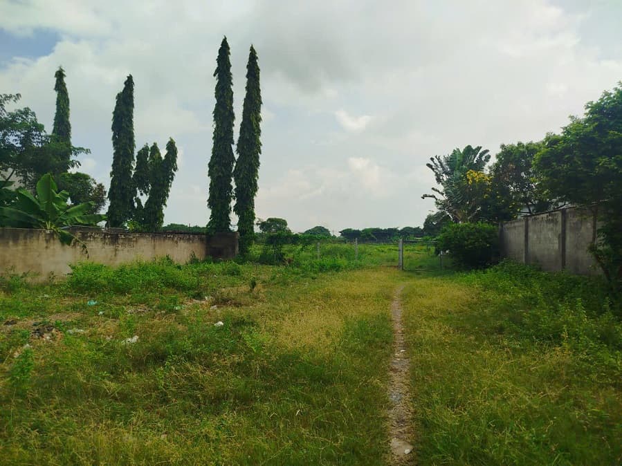 Bán đất X. Tân Thới Nhì, H. Hóc Môn, Tp. Hồ Chí Minh - Ảnh 2