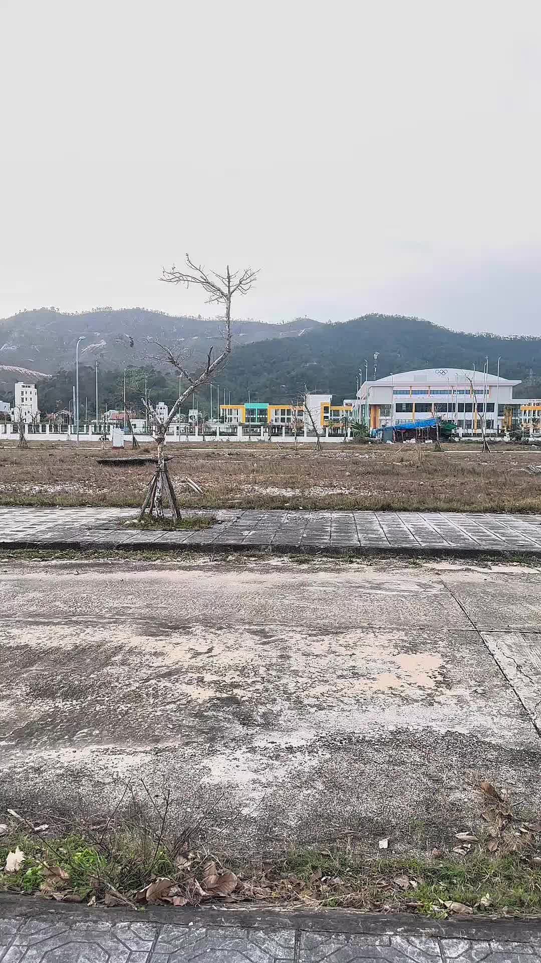 Bán đất Đ. 58, X. Hạ Long, H. Vân Đồn, T. Quảng Ninh - Ảnh 3