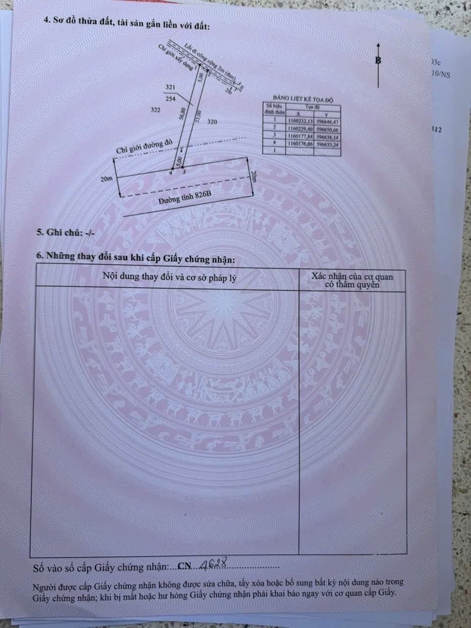 Bán đất Đ. ĐT 826B, X. Phước Đông, H. Cần Đước, T. Long An - Ảnh 3
