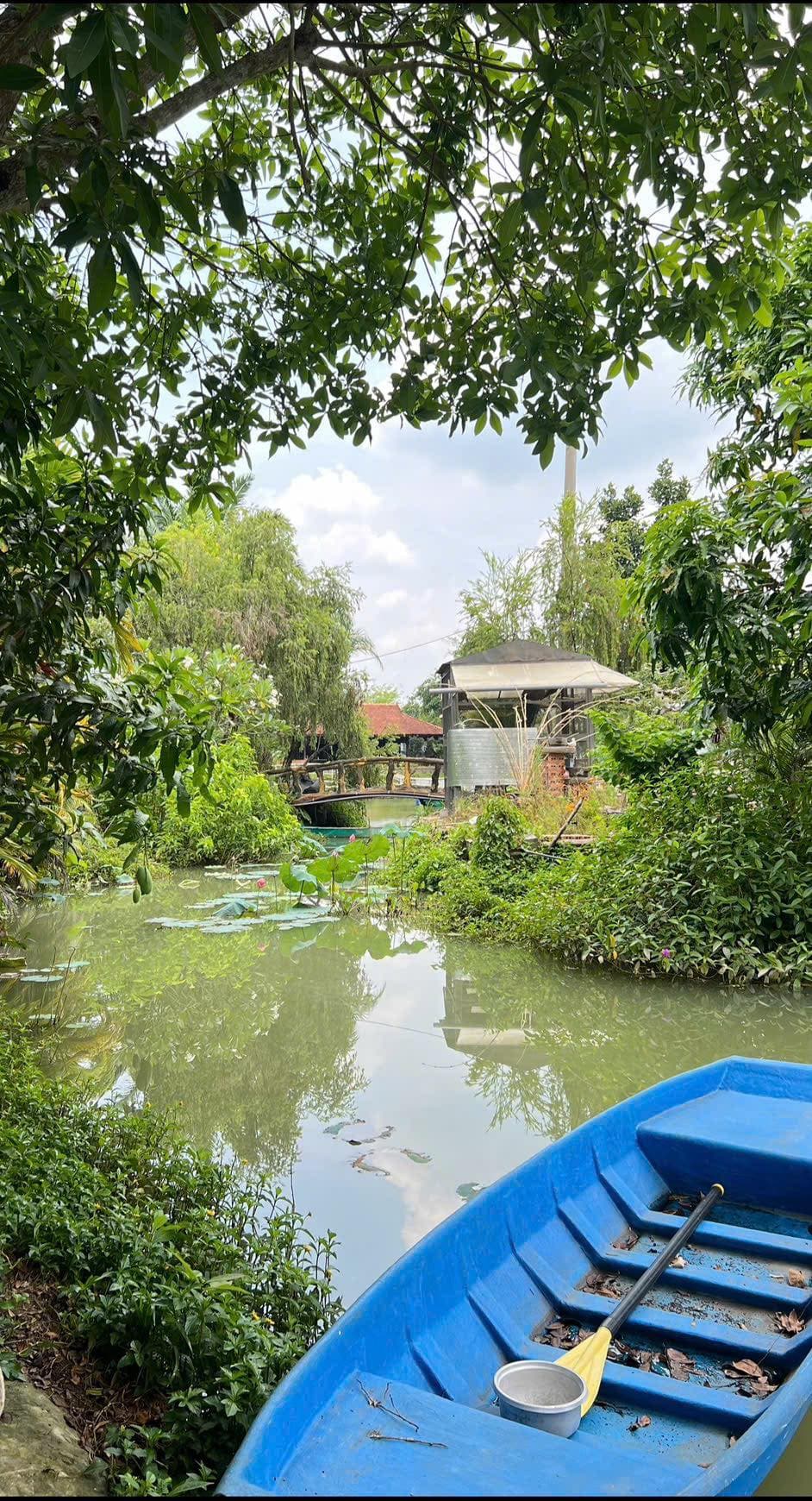 Bán nhà riêng X. An Nhơn Tây, H. Củ Chi, Tp. Hồ Chí Minh - Ảnh 2