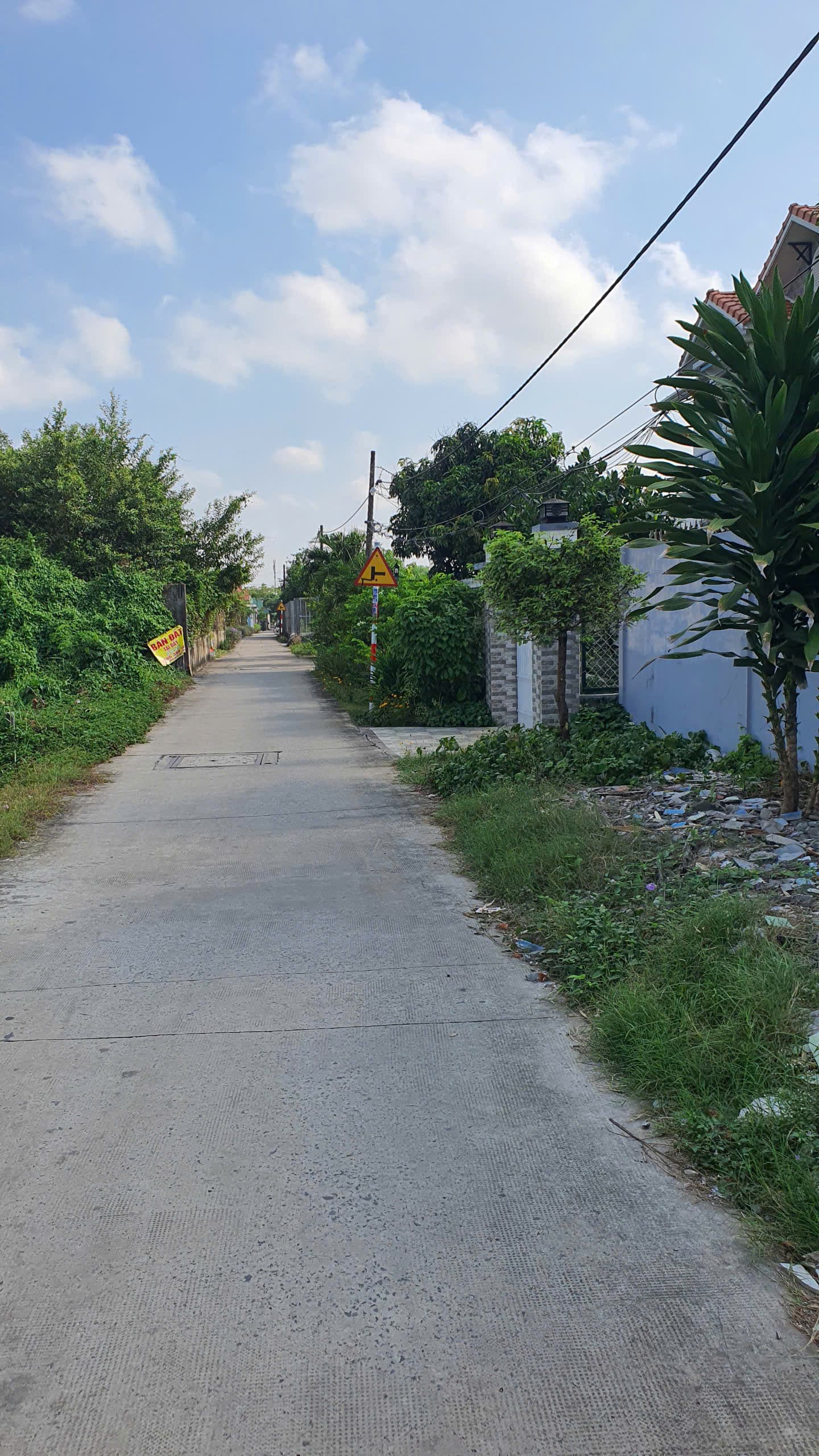 Bán đất Đ. Hoàng Phan Thái, X. Bình Chánh, H. Bình Chánh, Tp. Hồ Chí Minh - Ảnh 2