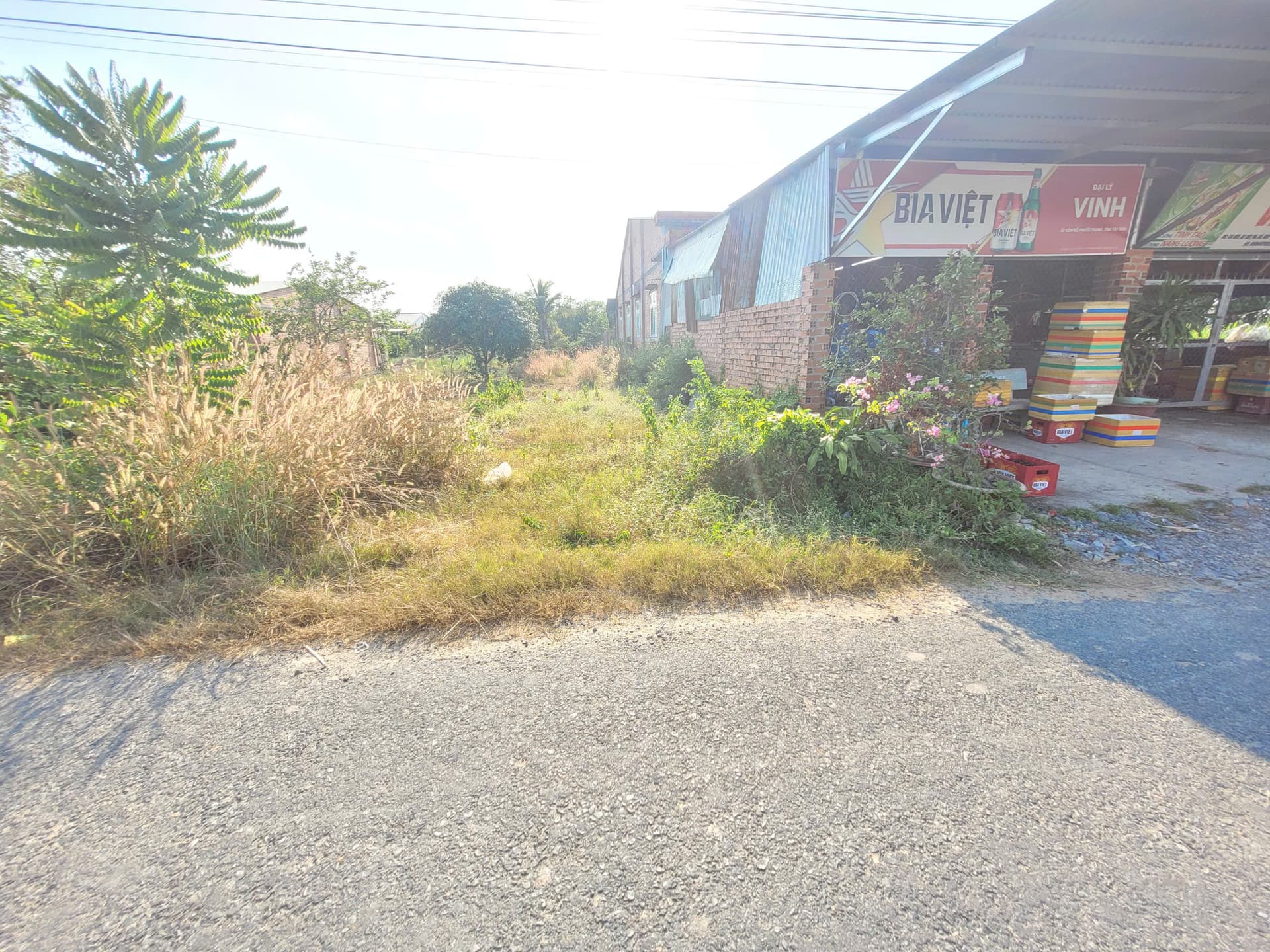 Bán đất X. Hiệp Thạnh, H. Gò Dầu, T. Tây Ninh