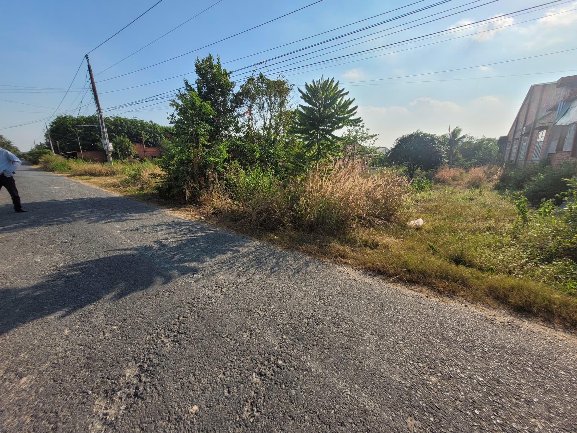 Bán đất X. Hiệp Thạnh, H. Gò Dầu, T. Tây Ninh - Ảnh 2