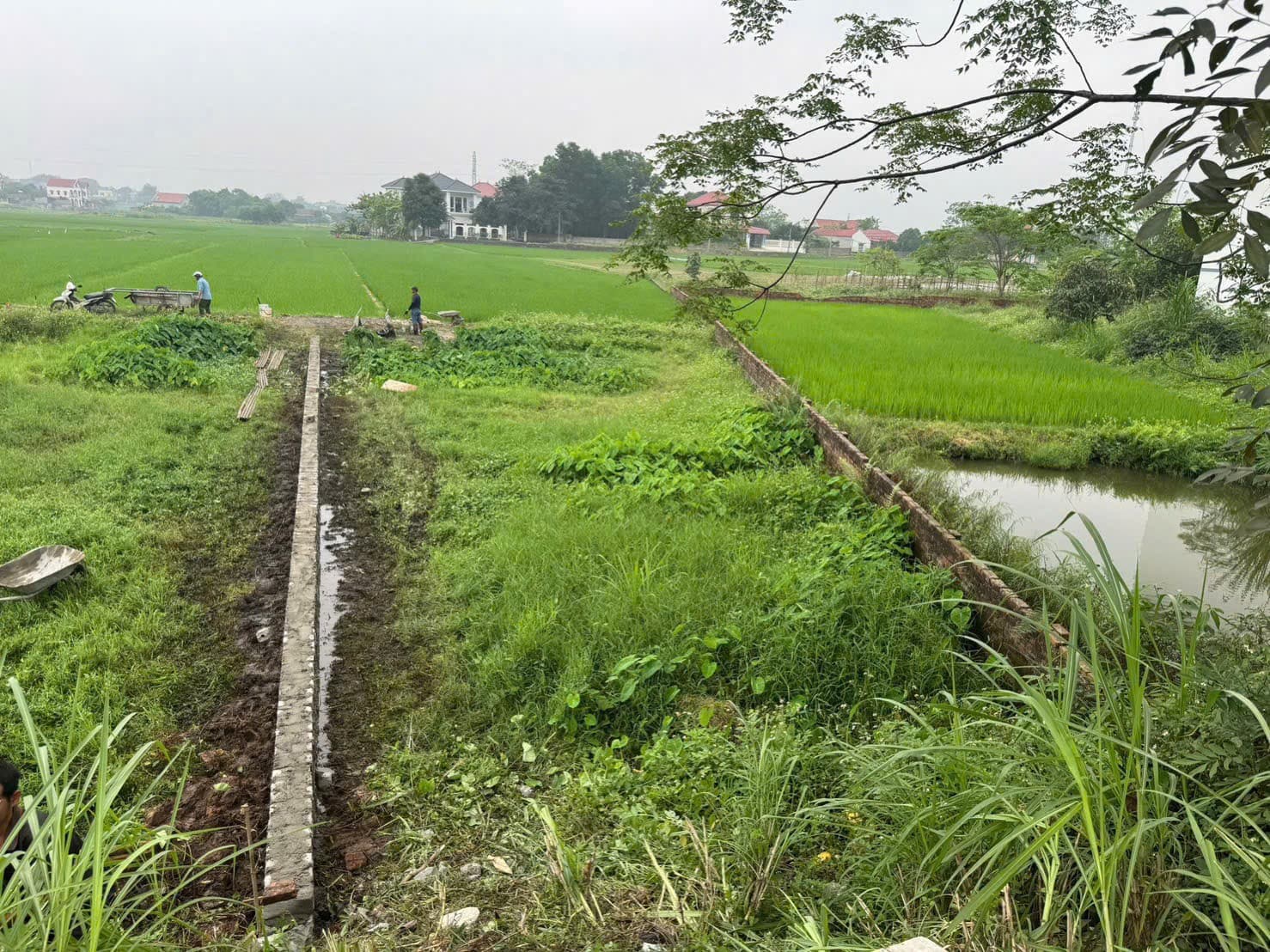 Bán đất Đ. Quốc Lộ 296, X. Danh Thắng, H. Hiệp Hòa, T. Bắc Giang - Ảnh 2