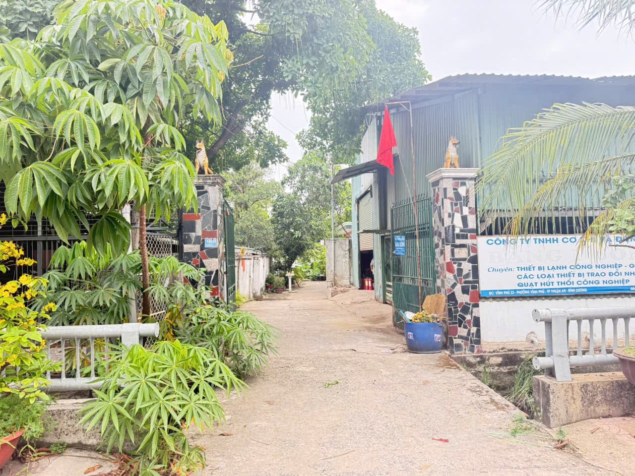 Bán kho, nhà xưởng P. Vĩnh Phú, Tp. Thuận An, T. Bình Dương - Ảnh 3