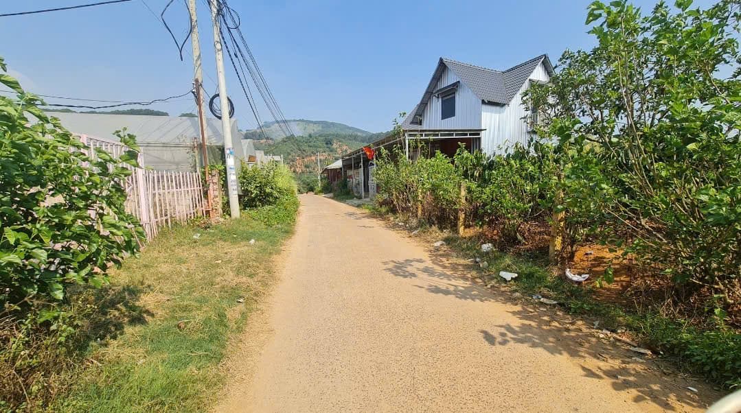 Bán đất Đ. ĐT 725, H. Lâm Hà, T. Lâm Đồng - Ảnh 3