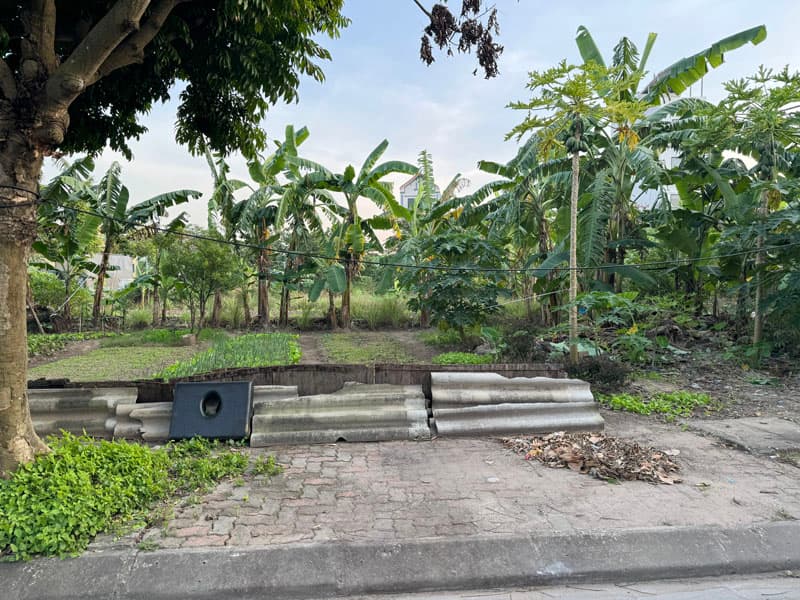 Bán đất TĐC Kim Sơn, X. Kim Sơn, H. Gia Lâm, Tp. Hà Nội - Ảnh 3