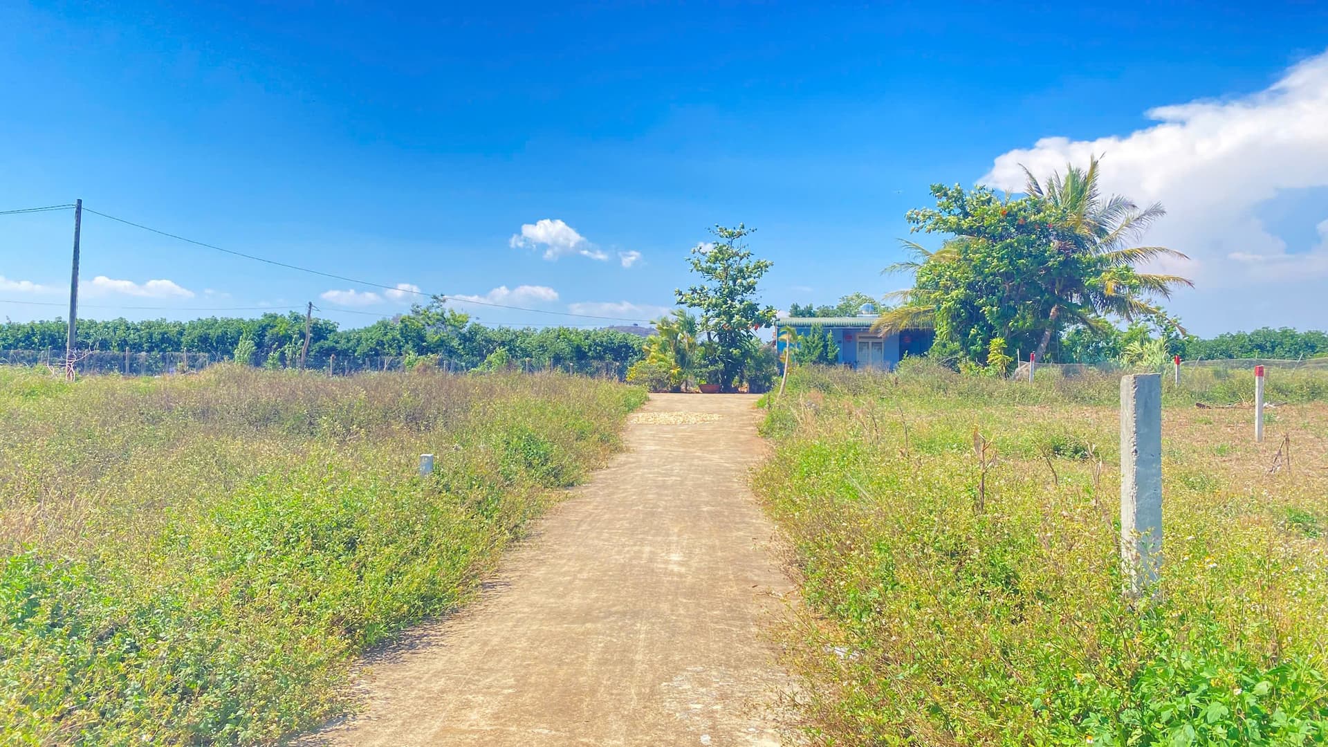 Bán đất hẻm, Đ. ĐT 724, Tt. Liên Nghĩa, H. Đức Trọng, T. Lâm Đồng