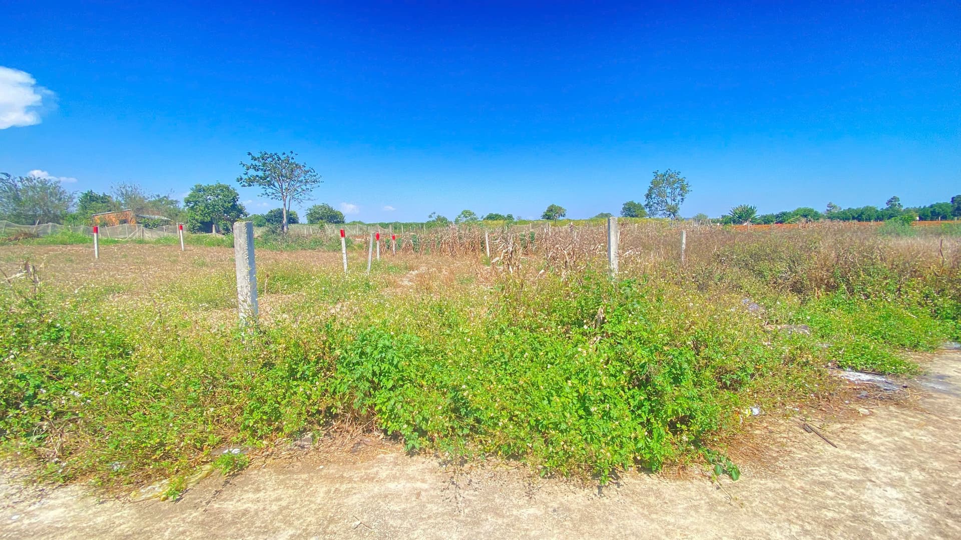 Bán đất hẻm, Đ. ĐT 724, Tt. Liên Nghĩa, H. Đức Trọng, T. Lâm Đồng - Ảnh 2