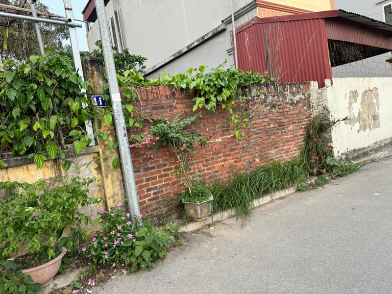 Bán đất Sông Cầu Bây - Xuân Thụy, X. Bát Tràng, H. Gia Lâm, Tp. Hà Nội - Ảnh 2