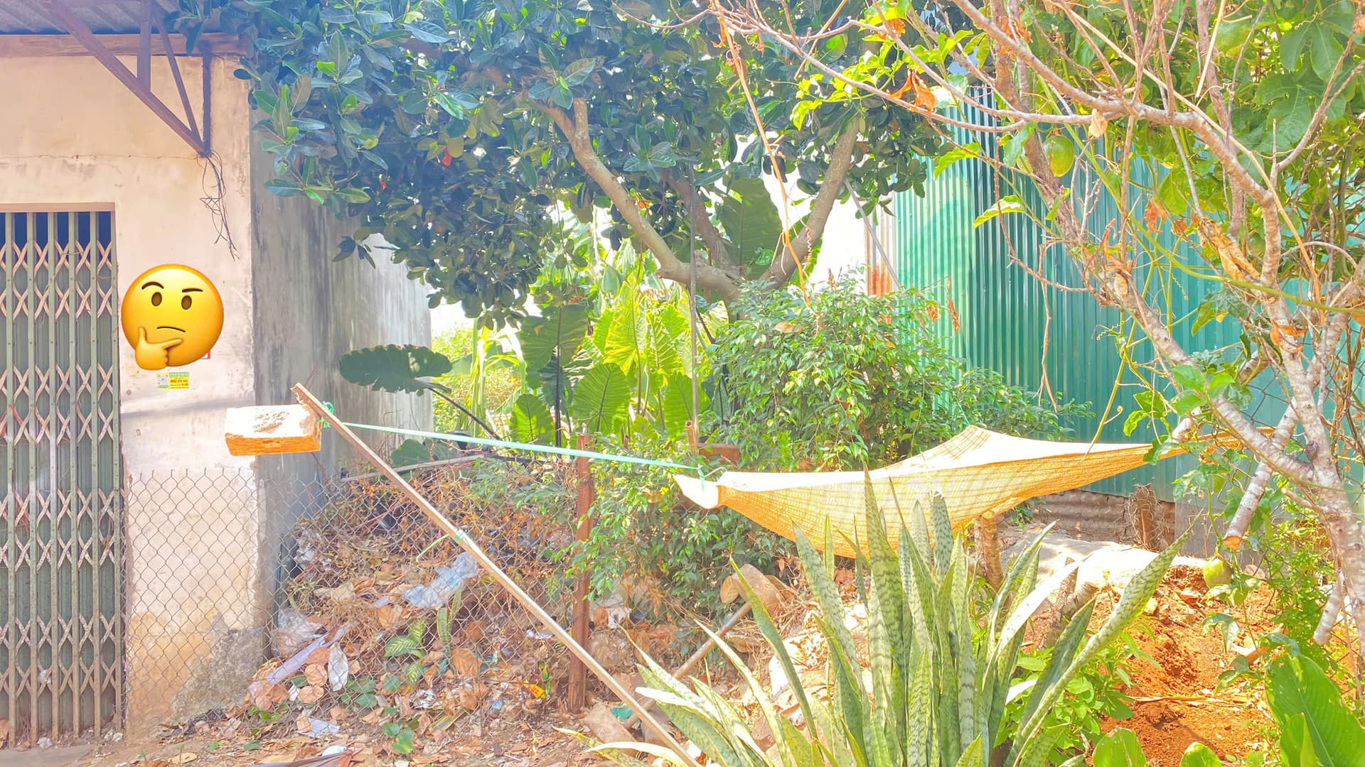 Bán đất Mặt tiền, Đ. Phạm Ngũ Lão, Tt. Liên Nghĩa, H. Đức Trọng, T. Lâm Đồng - Ảnh 2