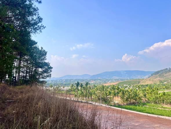 Bán đất Đ. Tỉnh lộ 725, Tt. Nam Ban, H. Lâm Hà, T. Lâm Đồng - Ảnh 3
