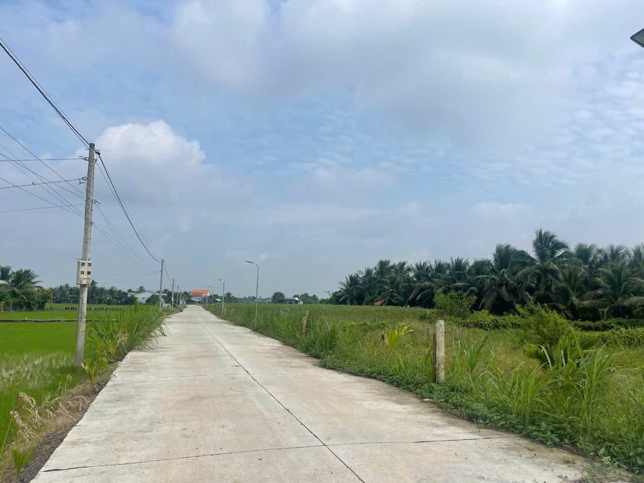 Bán đất X. Bình Trinh Đông, H. Tân Trụ, T. Long An - Ảnh 2